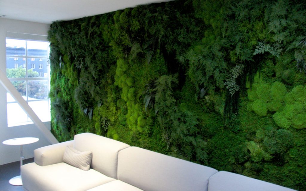 Preserved moss wall