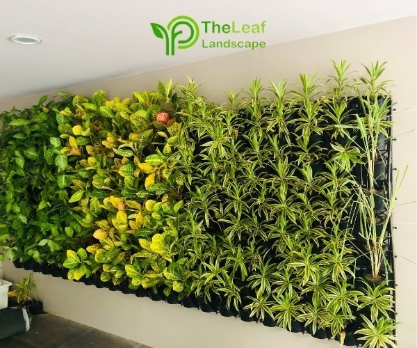 vertical garden